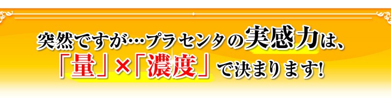 �v���Z���^�G�N�Z�����g���T�C�g